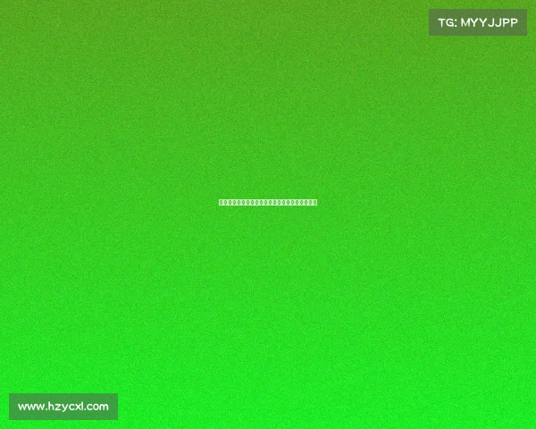 墨尔本胜利近期赛事全面解析与未来展望深度报道