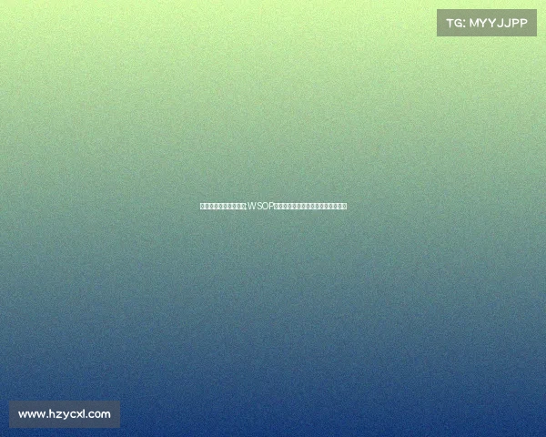 赛事承办需要了解什么;WSOP主赛事参赛成本深度解析与费用指南